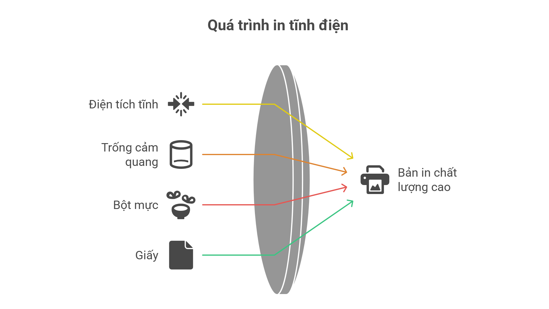 Máy In Laser Hoạt Động Như Thế Nào: Nguyên Lý Và Cấu Tạo Chi Tiết