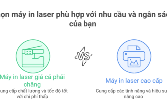 Máy In Laser Giá Cả Phải Chăng: Hướng Dẫn Chọn Mua Thông Minh 2025