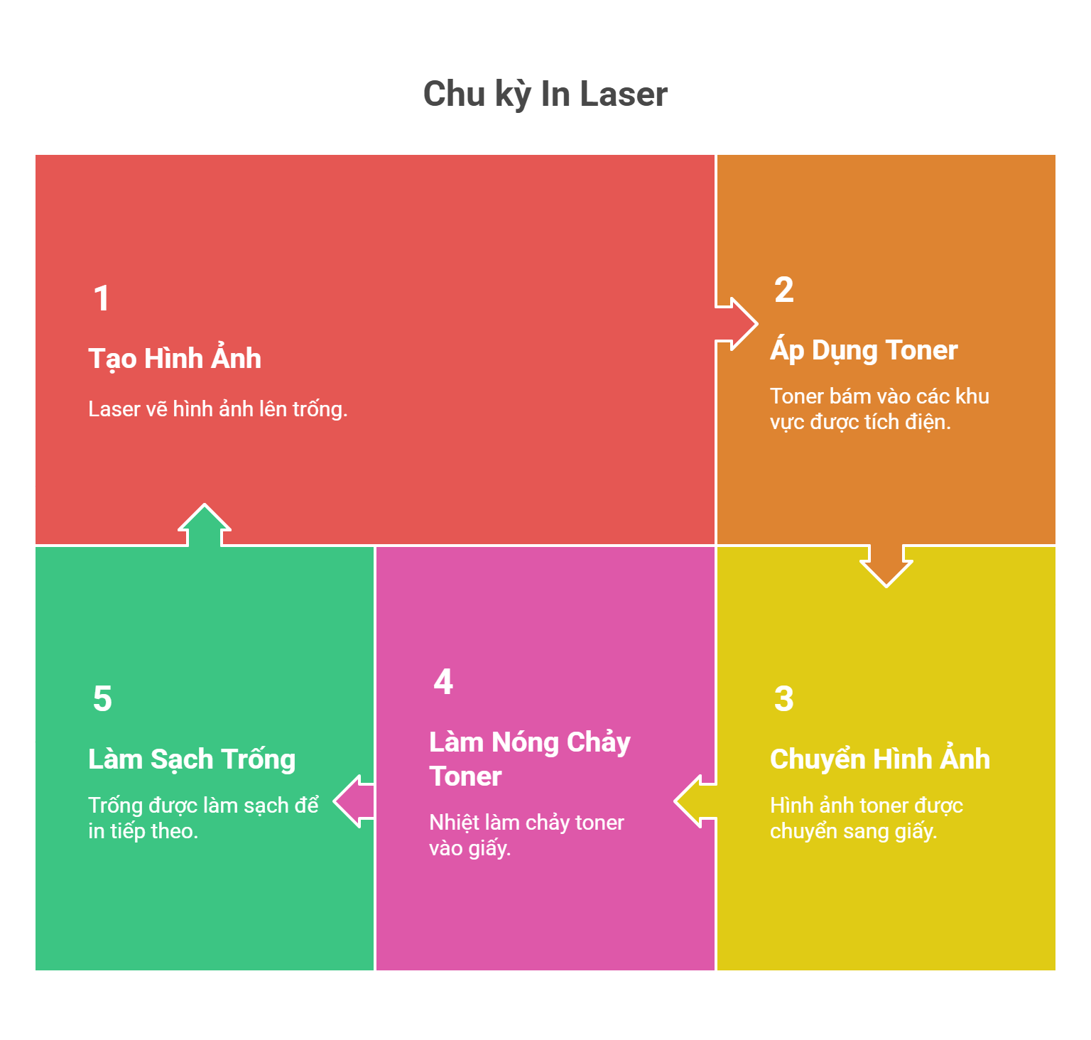 Máy In Laser Hoạt Động Như Thế Nào: Nguyên Lý Và Cấu Tạo Chi Tiết