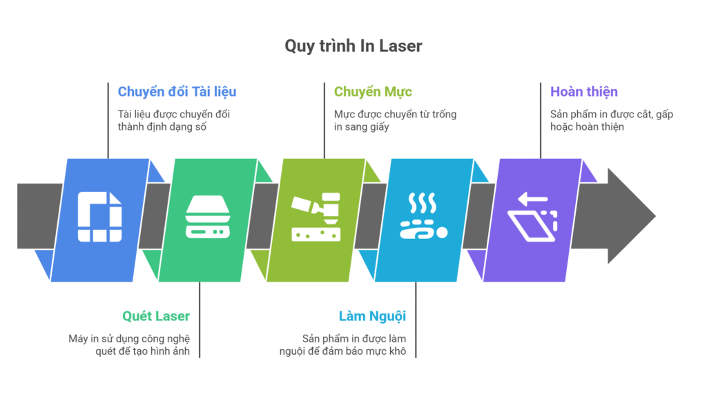 Nên Mua Máy In Laser Màu Hay Đen Trắng? Lựa Chọn Tối Ưu Cho Nhu Cầu Của Bạn Năm 2025