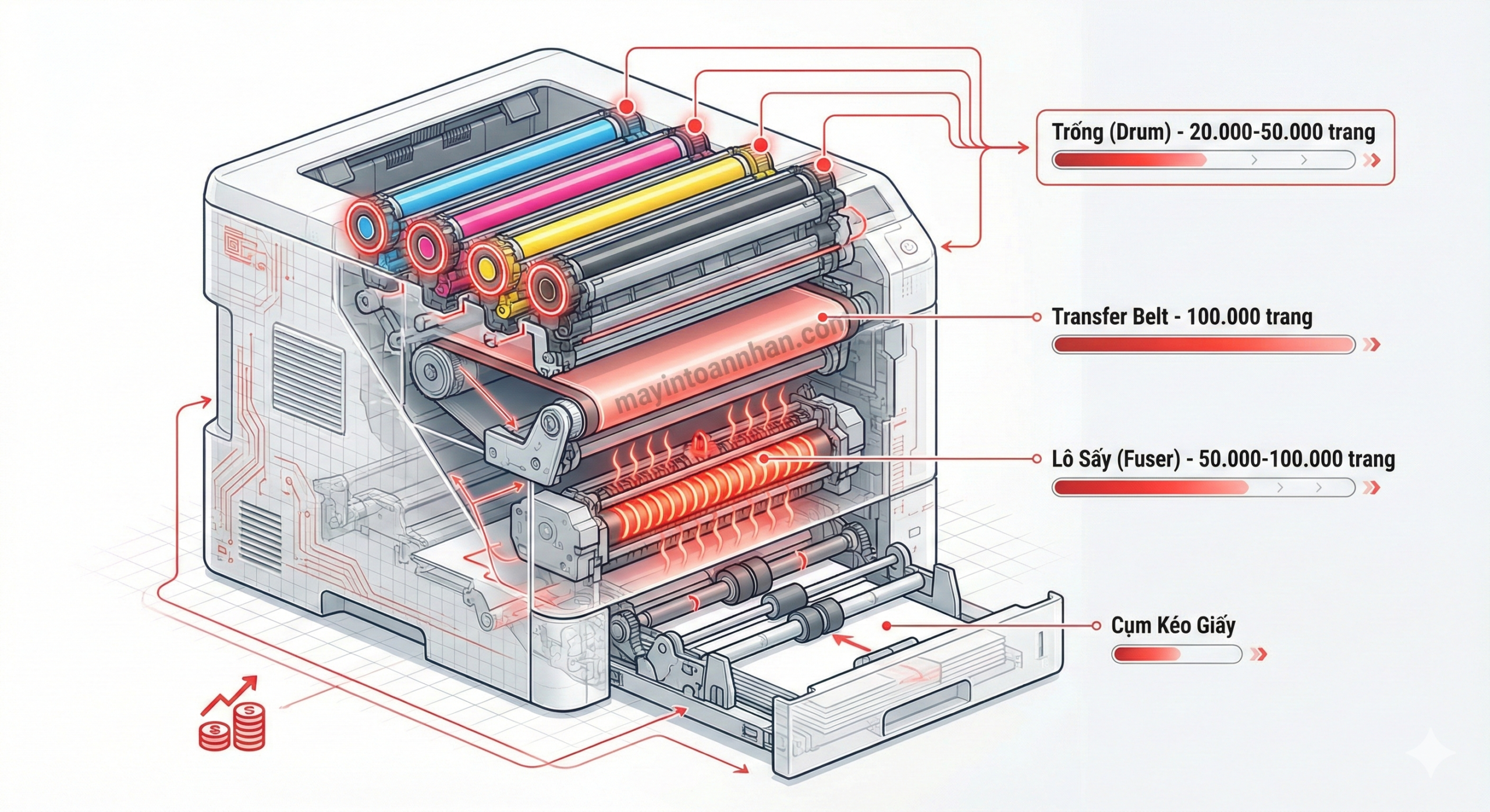Máy In Laser Màu Có Bền Không? Phân Tích Tuổi Thọ Thực Tế 2025