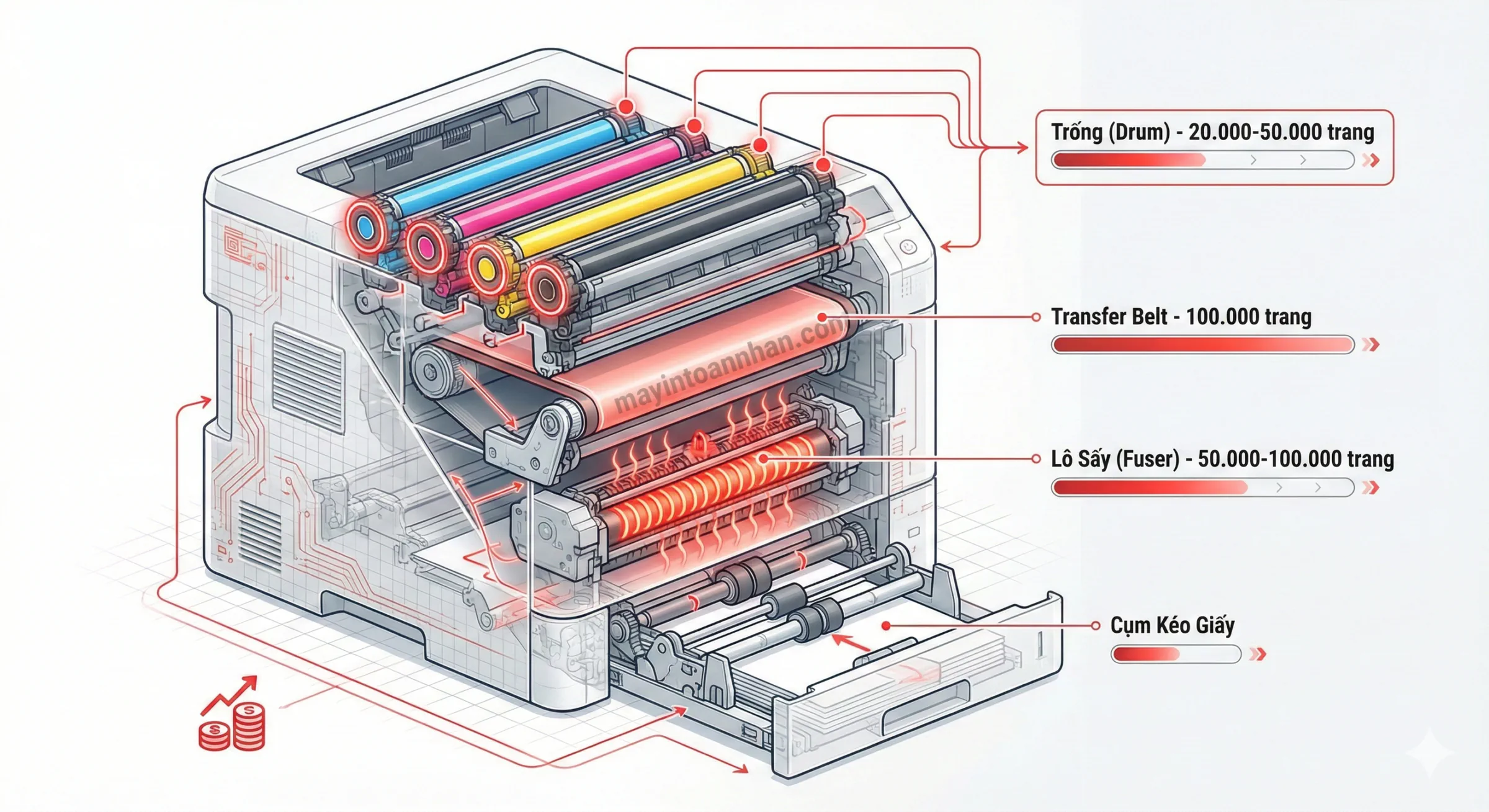 Máy In Laser Màu Có Bền Không? Phân Tích Tuổi Thọ Thực Tế 2025