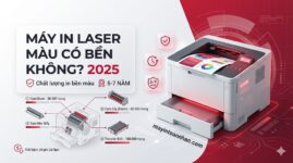 Máy In Laser Màu Có Bền Không? Phân Tích Tuổi Thọ Thực Tế 2025
