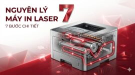 Nguyên Lý Hoạt Động Máy In Laser: 7 Bước Chi Tiết 2025