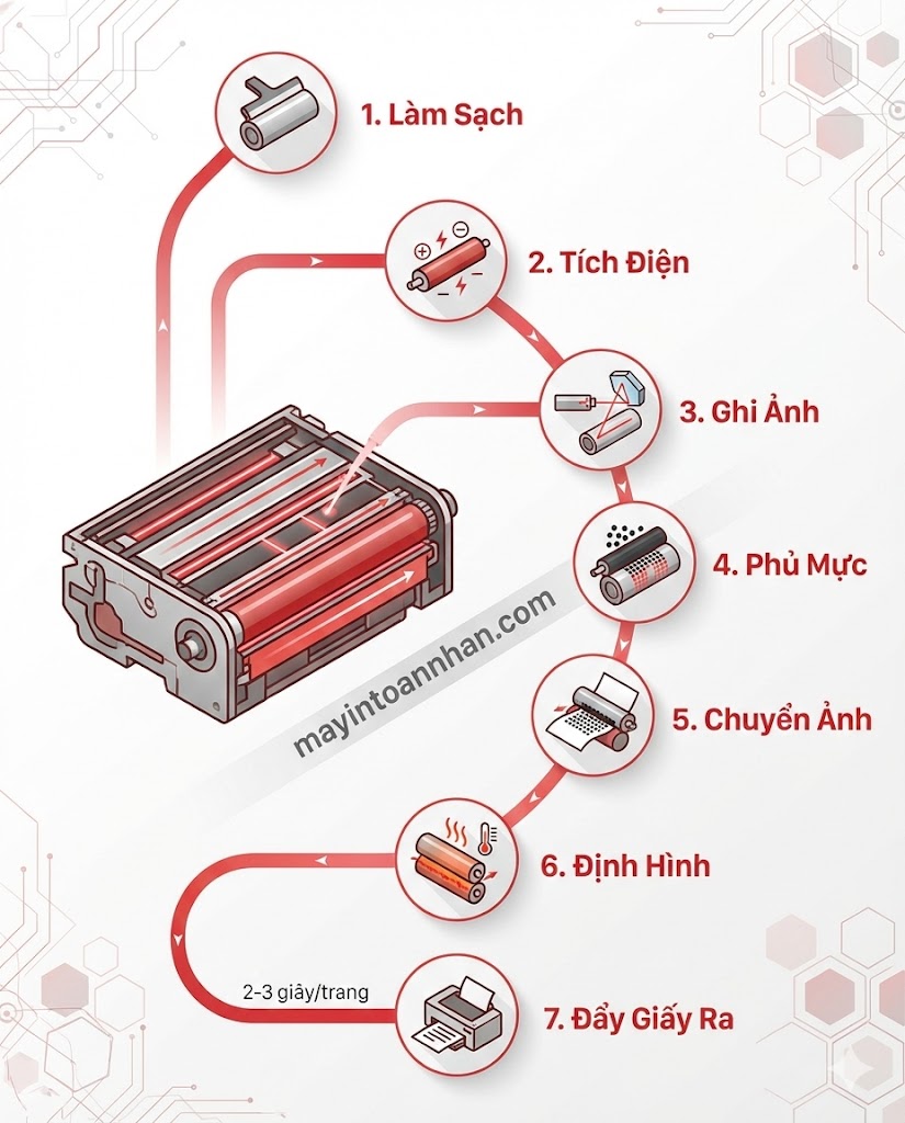 Nguyên Lý Hoạt Động Máy In Laser: 7 Bước Chi Tiết 2025