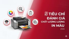 Đánh Giá Chất Lượng In Màu: 5 Tiêu Chí Quan Trọng Nhất 2025