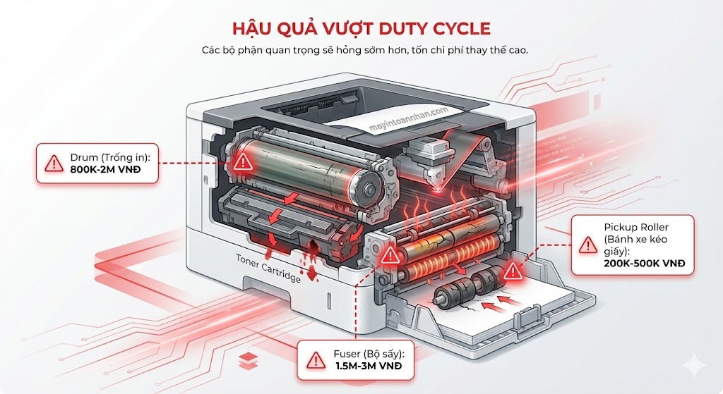 Công suất in hàng tháng (Duty Cycle) là gì? Cách chọn đúng 2025