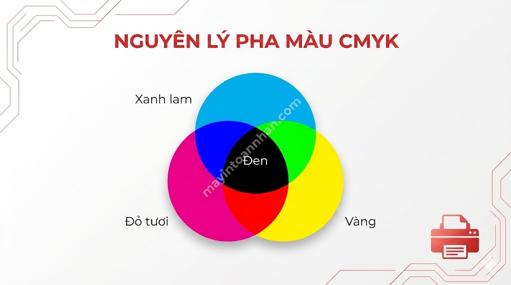 Kiến Thức Máy In Màu: Từ Cơ Bản Đến Chuyên Sâu 2025