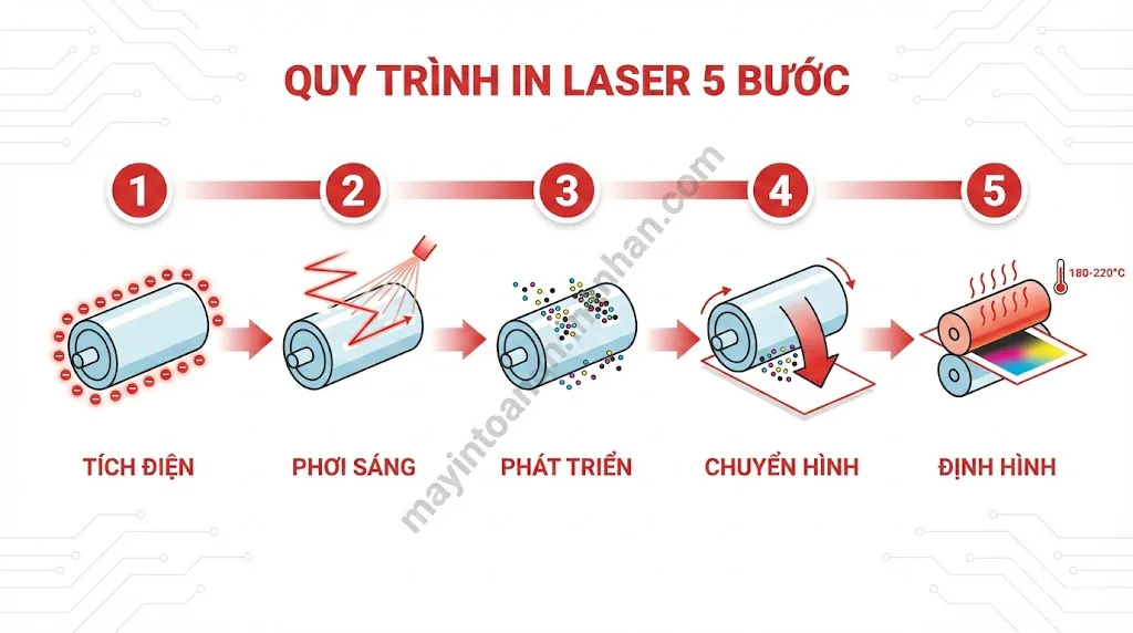 Máy In Màu Laser: Ưu Nhược Điểm & Kinh Nghiệm Chọn Mua 2025 2 Máy In Màu Laser: Ưu Nhược Điểm & Kinh Nghiệm Chọn Mua 2025