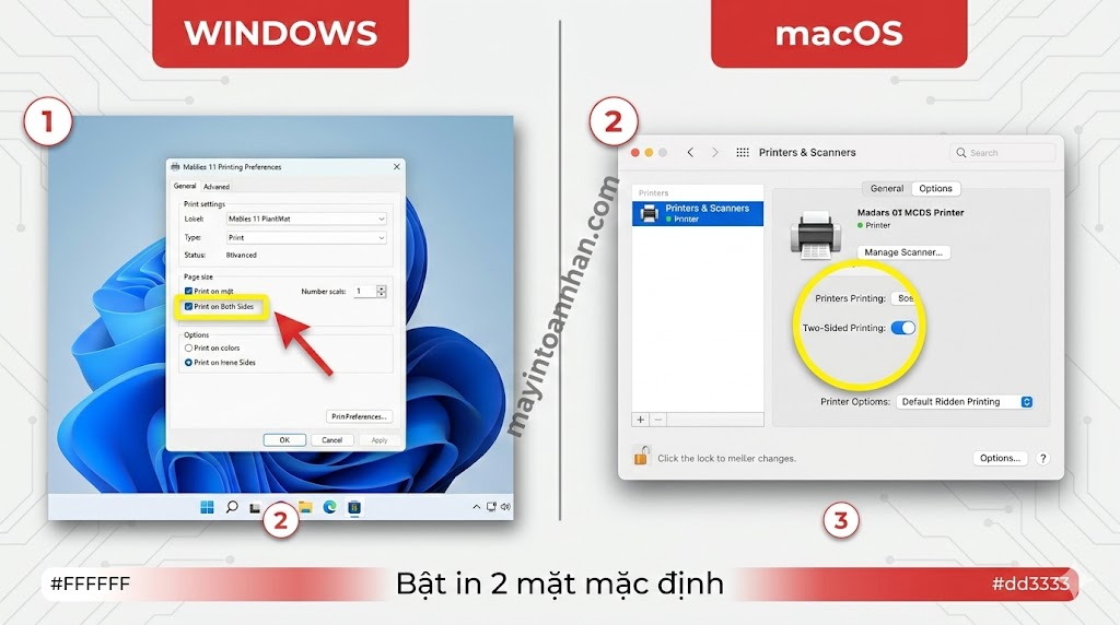 Máy In Màu 2 Mặt: Top 7 Model Duplex Tự Động Tốt Nhất 2025