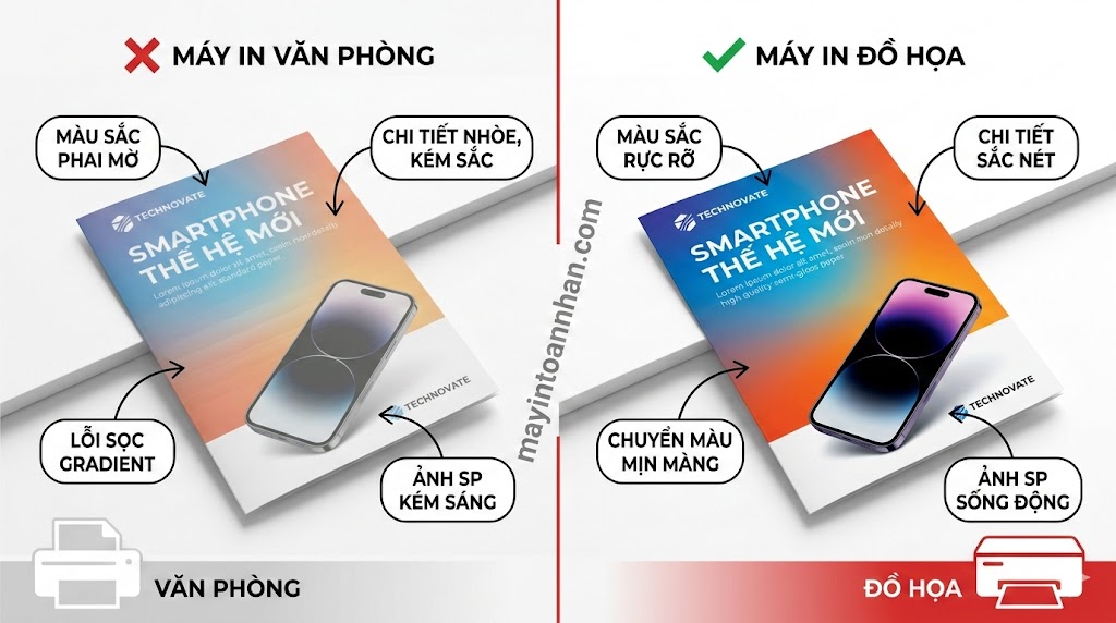 Máy In Màu Đồ Họa 2025: Hướng Dẫn Chọn Mua Cho Designer