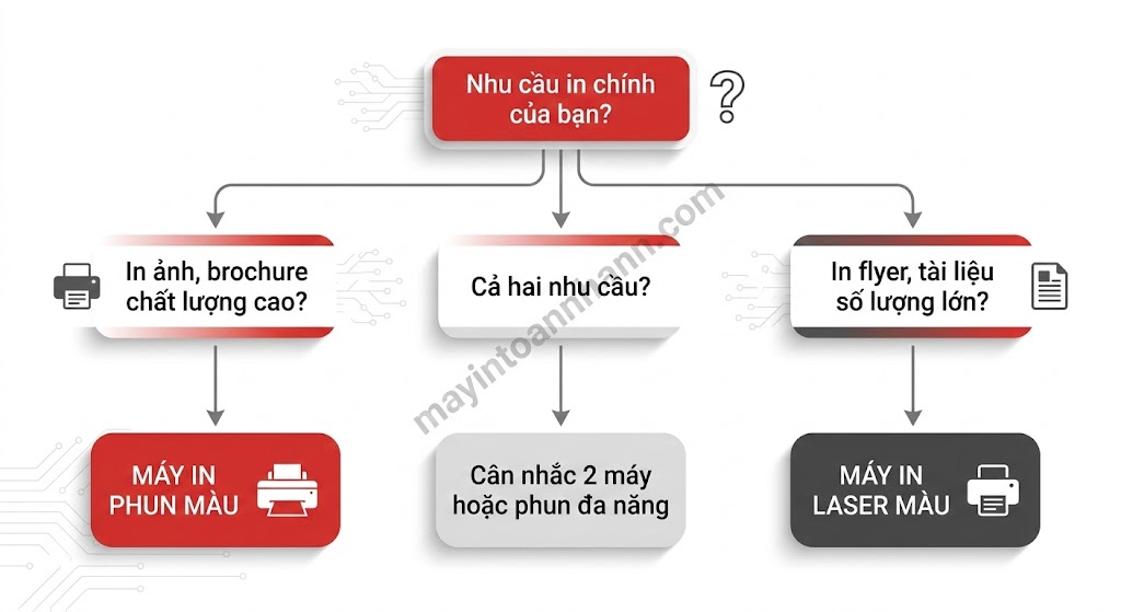 Máy In Màu Đồ Họa 2025: Hướng Dẫn Chọn Mua Cho Designer