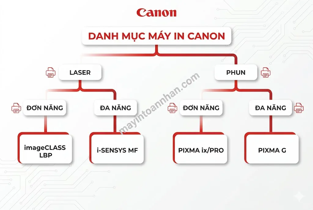 Infographic sơ đồ phân nhánh danh mục máy in Canon - nhánh chính chia thành Laser và Phun