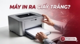 Máy In Laser In Ra Giấy Trắng: 7 Nguyên Nhân & Cách Sửa 2025