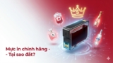 Tại sao mực máy in chính hãng lại đắt? Phân tích chi tiết 2025